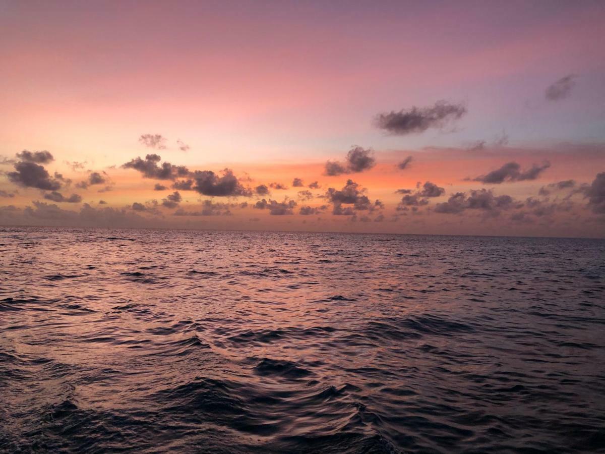Old Town Inn Maldives Gaafaru Eksteriør billede