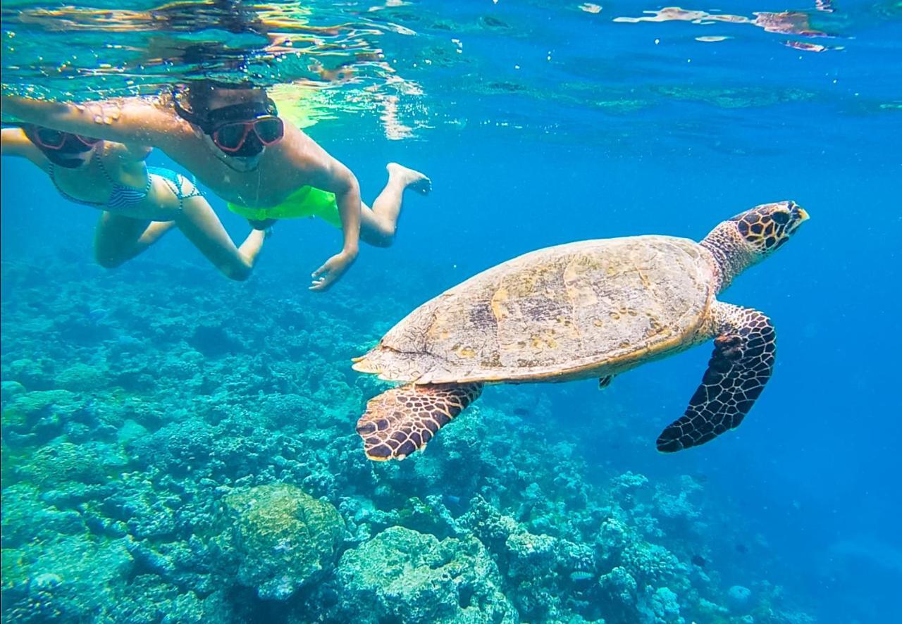 Old Town Inn Maldives Gaafaru Eksteriør billede