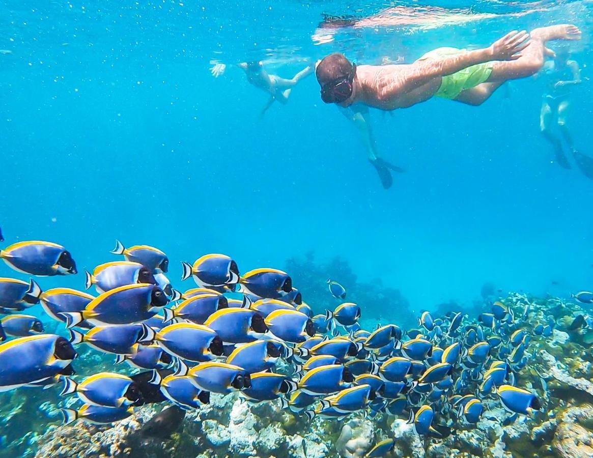 Old Town Inn Maldives Gaafaru Eksteriør billede